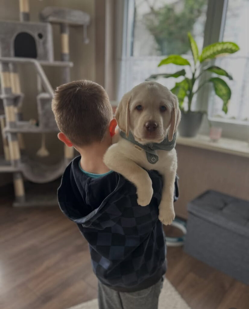 Timmy, ein kleiner Welpe mit großen Pfoten und noch größeren Träumen